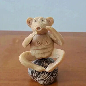 Monkey SITTING ON A STONE CALLING OUT